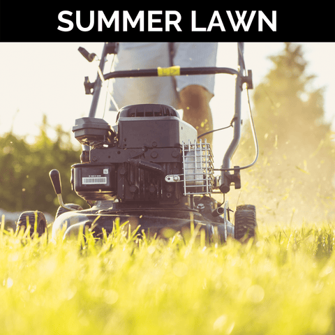 Summer Lawn