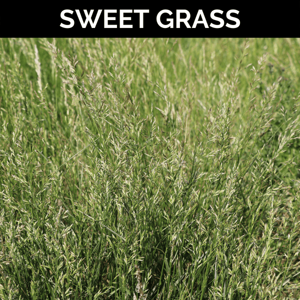 Sweet Grass