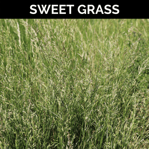 Sweet Grass