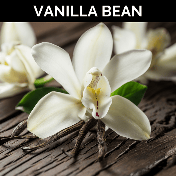 Vanilla Bean