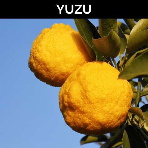 Yuzu