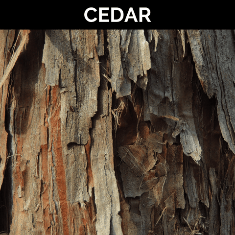 Cedar