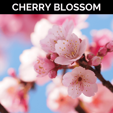 Cherry Blossom