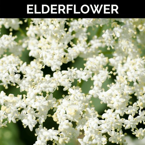 Elderflower