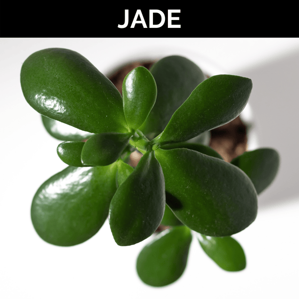 Jade