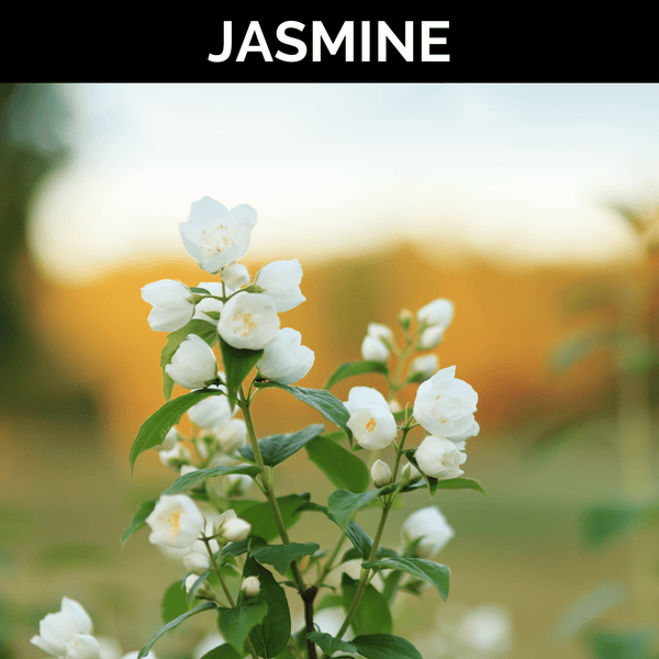 Jasmine