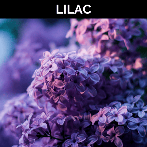 Lilac