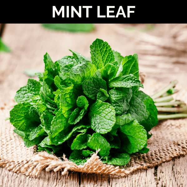 Mint Leaf