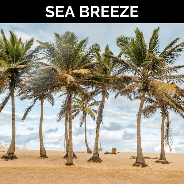 Sea Breeze