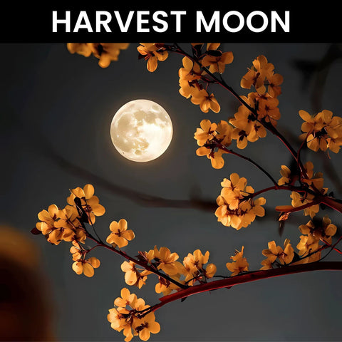 Harvest Moon
