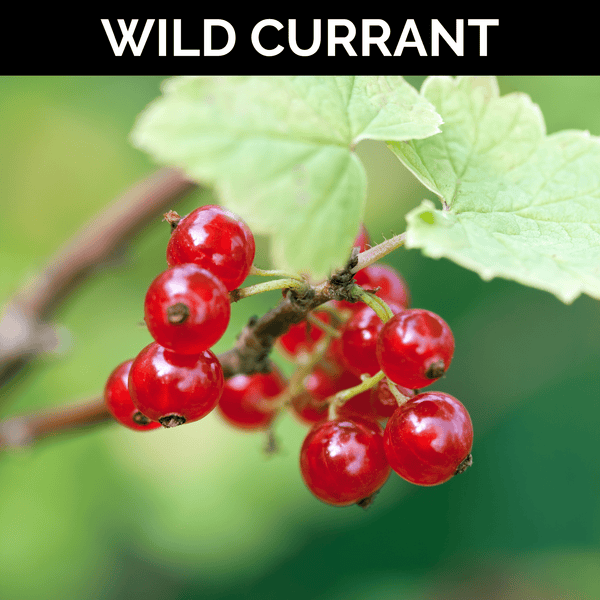 Wild Currant