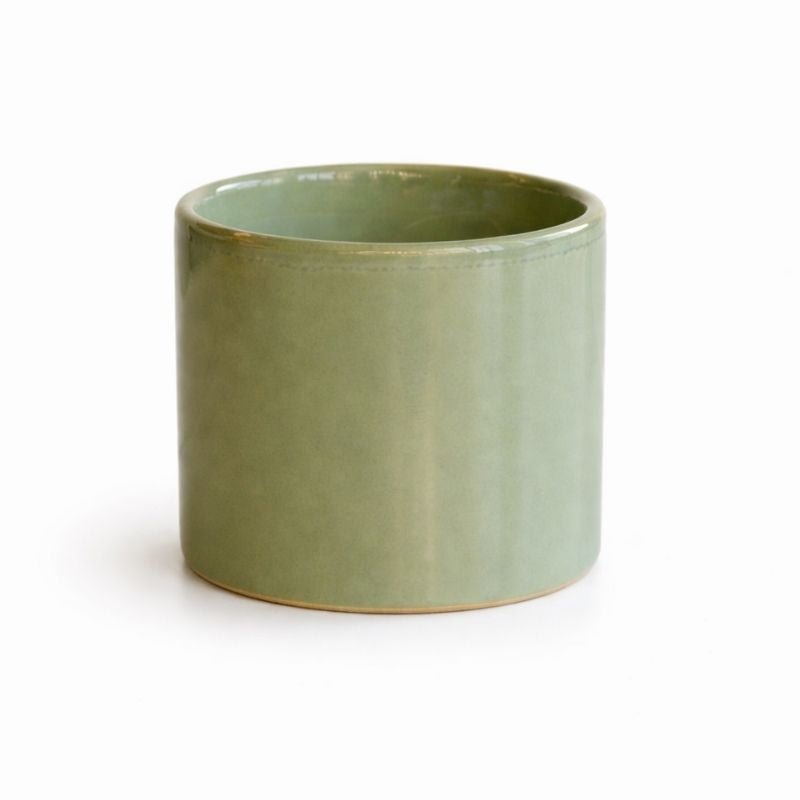 Fern 12oz Soy Candle