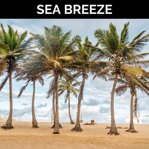 Sea Breeze